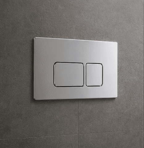 Flushing System