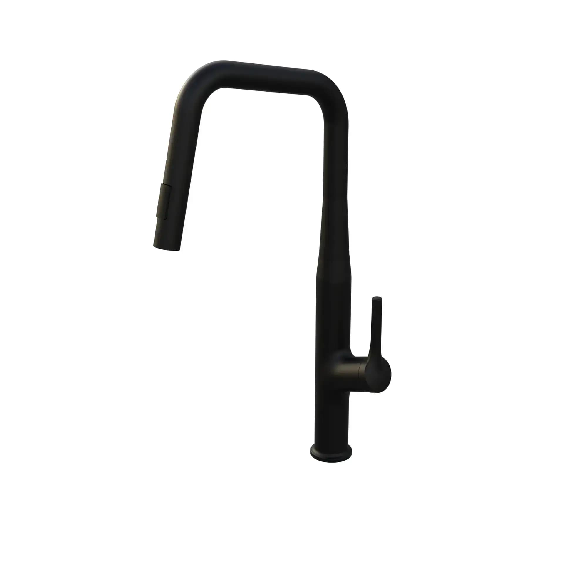 Kitchen Sink Faucet (Hot & Cold) | Finish: Matte Black