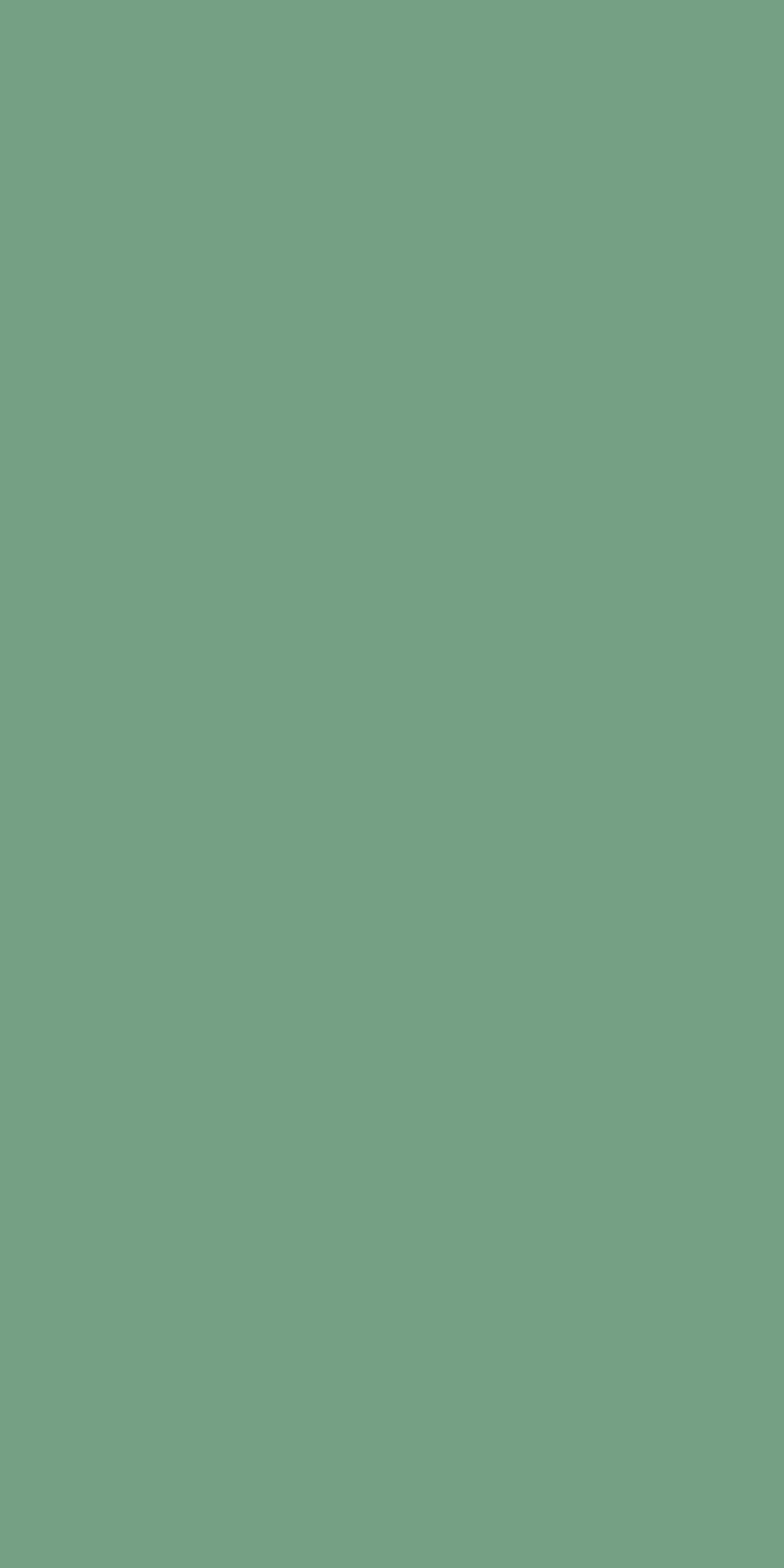 Sage Laminate | 1mm | Design: Solid Colour | Surface: Suede | Finish: Matte | Manufacturer Finish: Suede | Size: 8ft x 4ft | Series: LookBook 2026-27