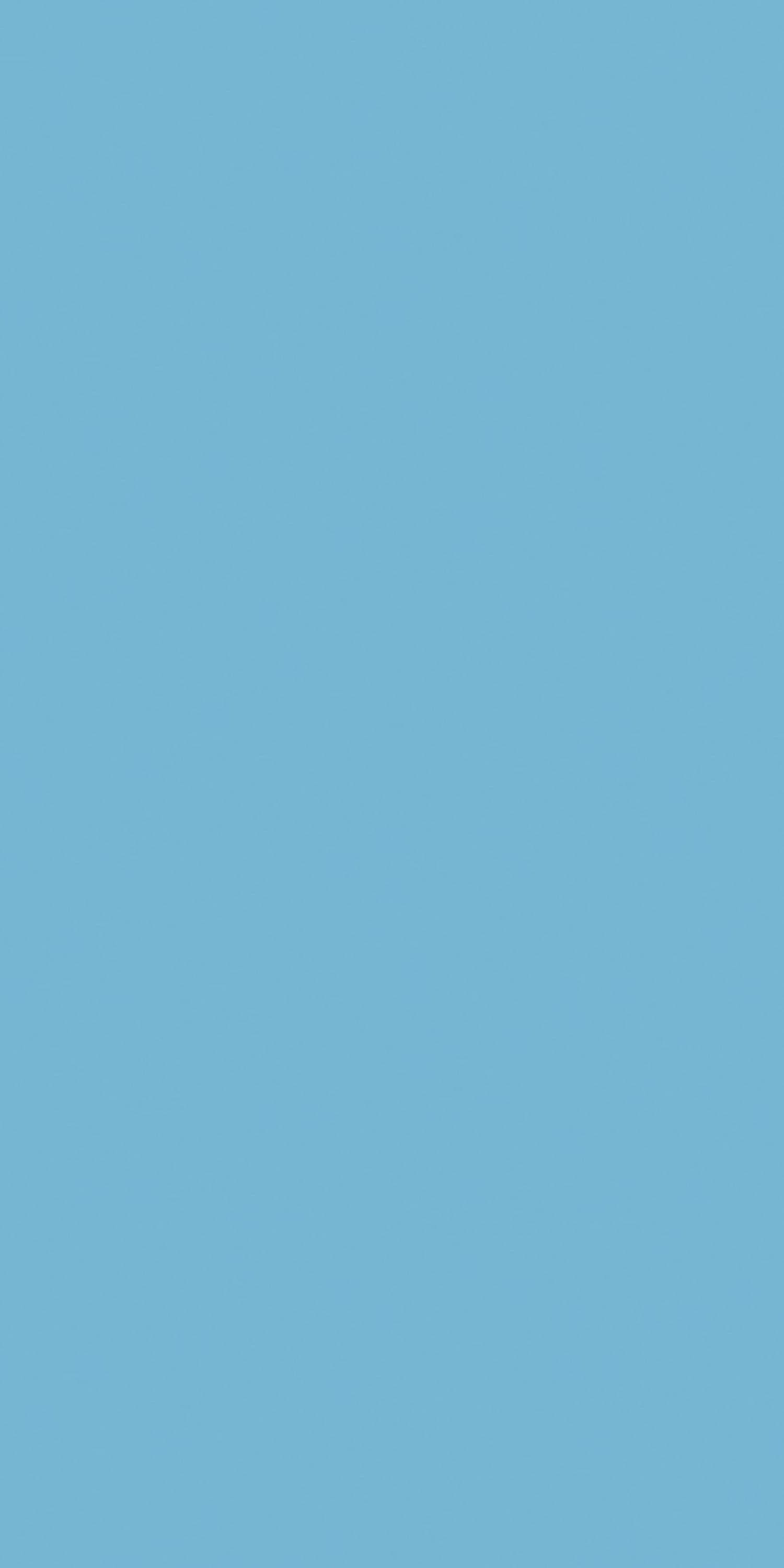 Century Laminates 241 - Matt — image 1
