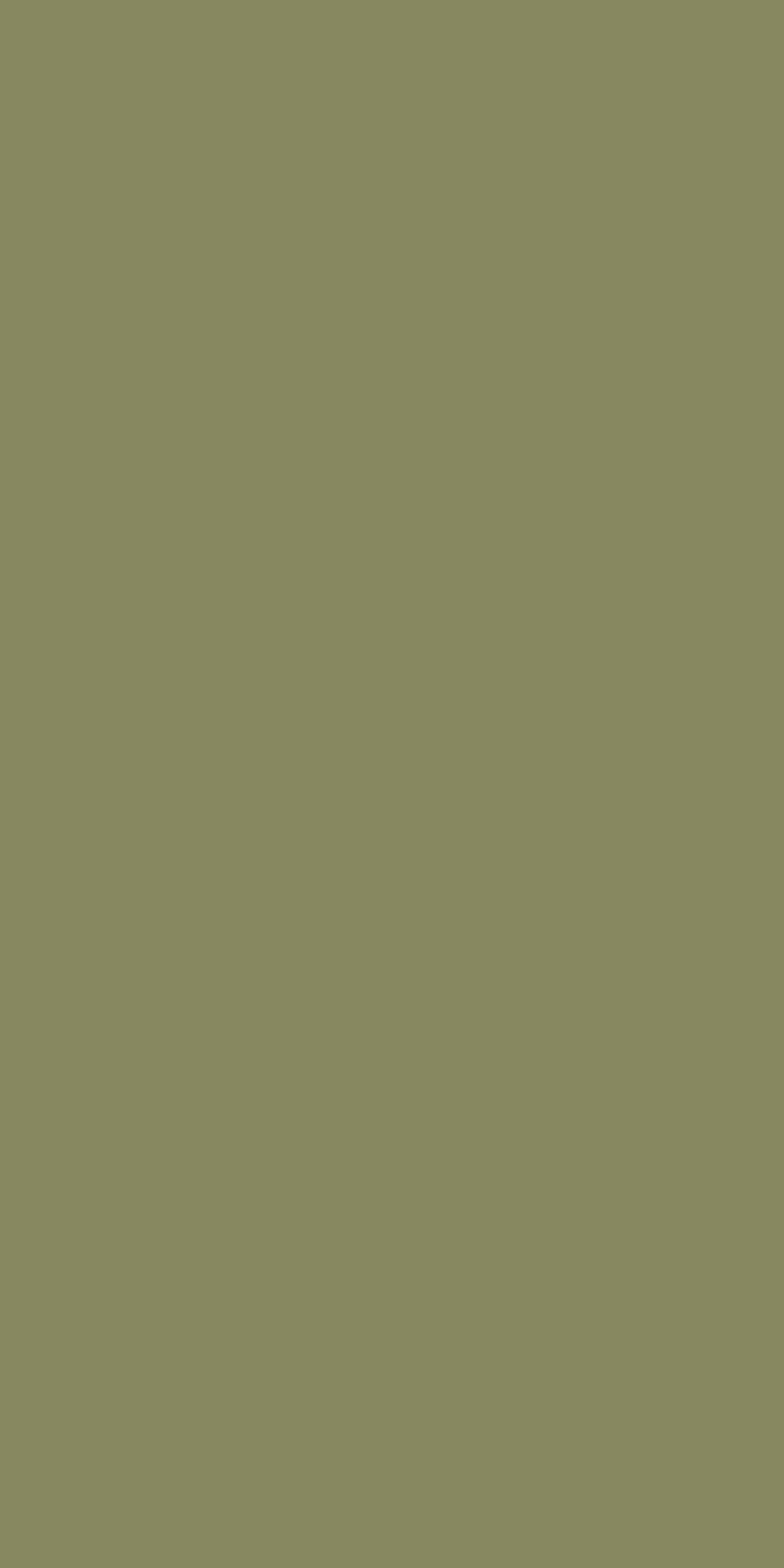 Pista Green Laminate | 1mm | Design: Solid Colour | Surface: Suede | Finish: Matte | Manufacturer Finish: Suede | Size: 8ft x 4ft | Series: LookBook 2026-27