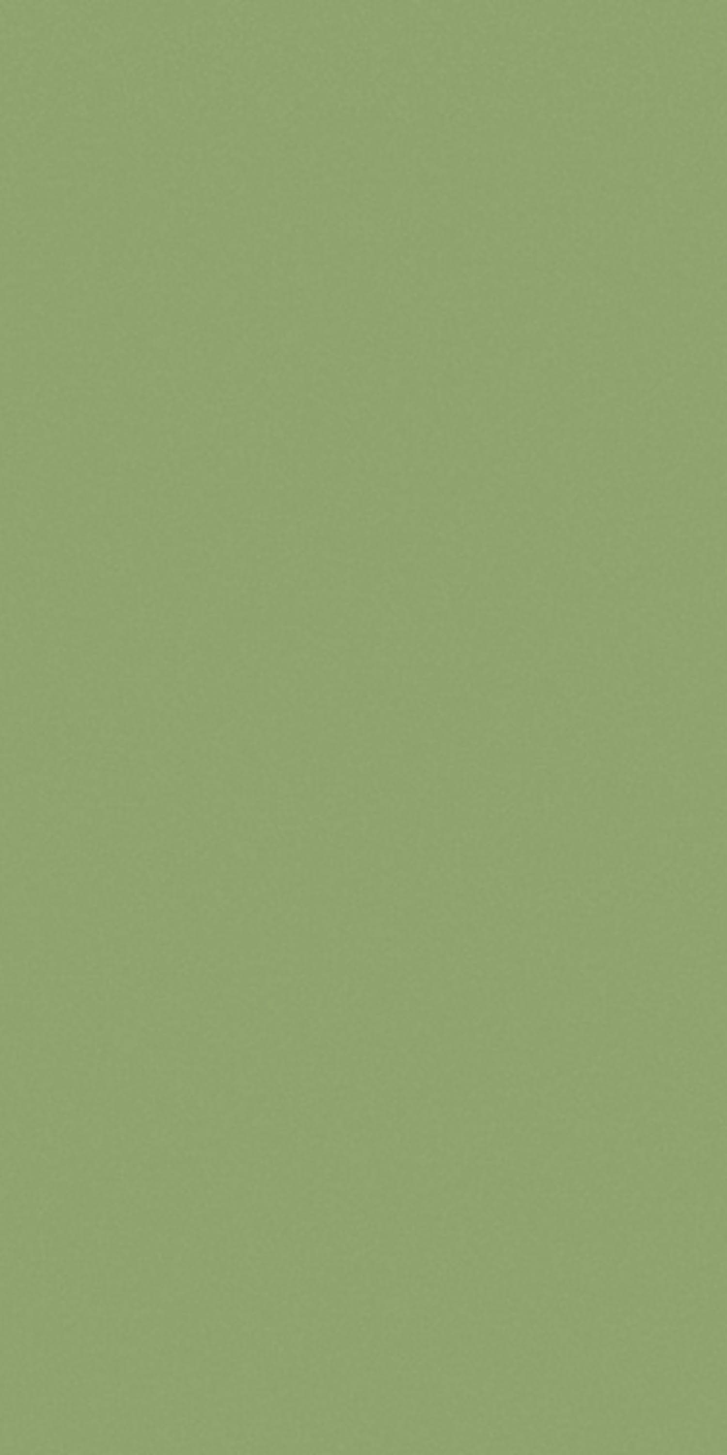 Century Laminates 276 - Matt — image 1