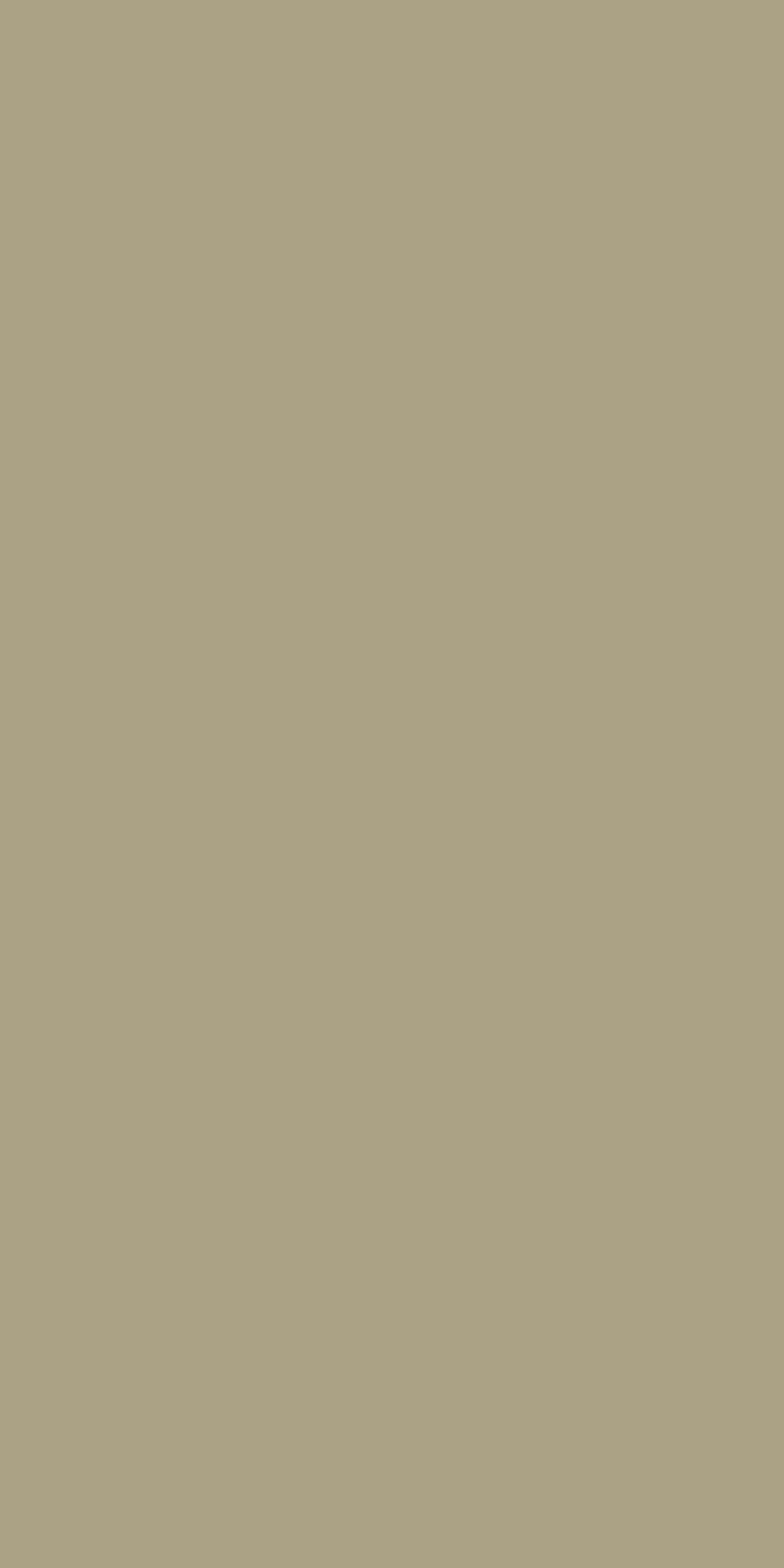 Century Laminates 3164 - Matt — image 1