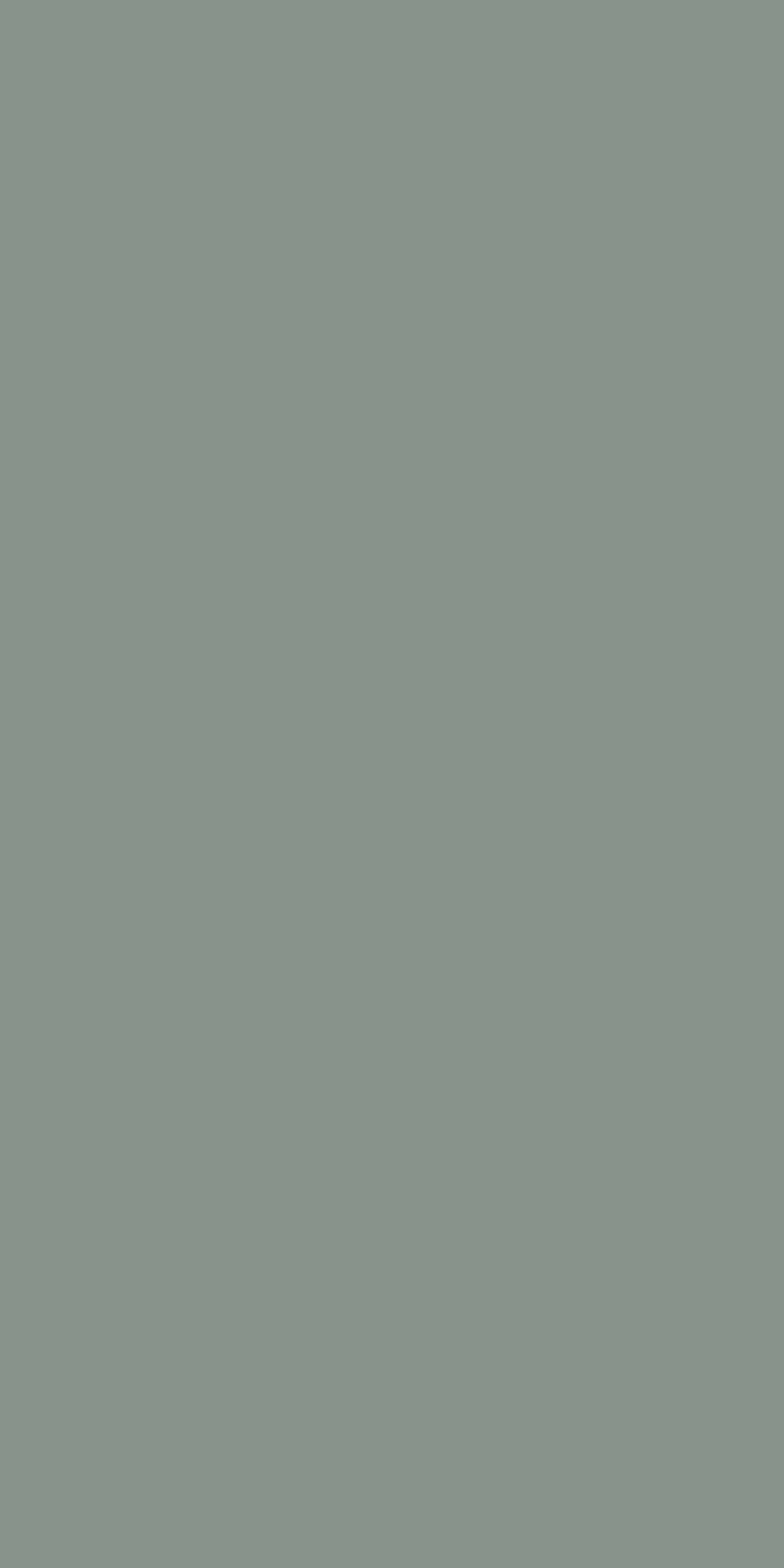 Century Laminates 3222 - Matt — image 1