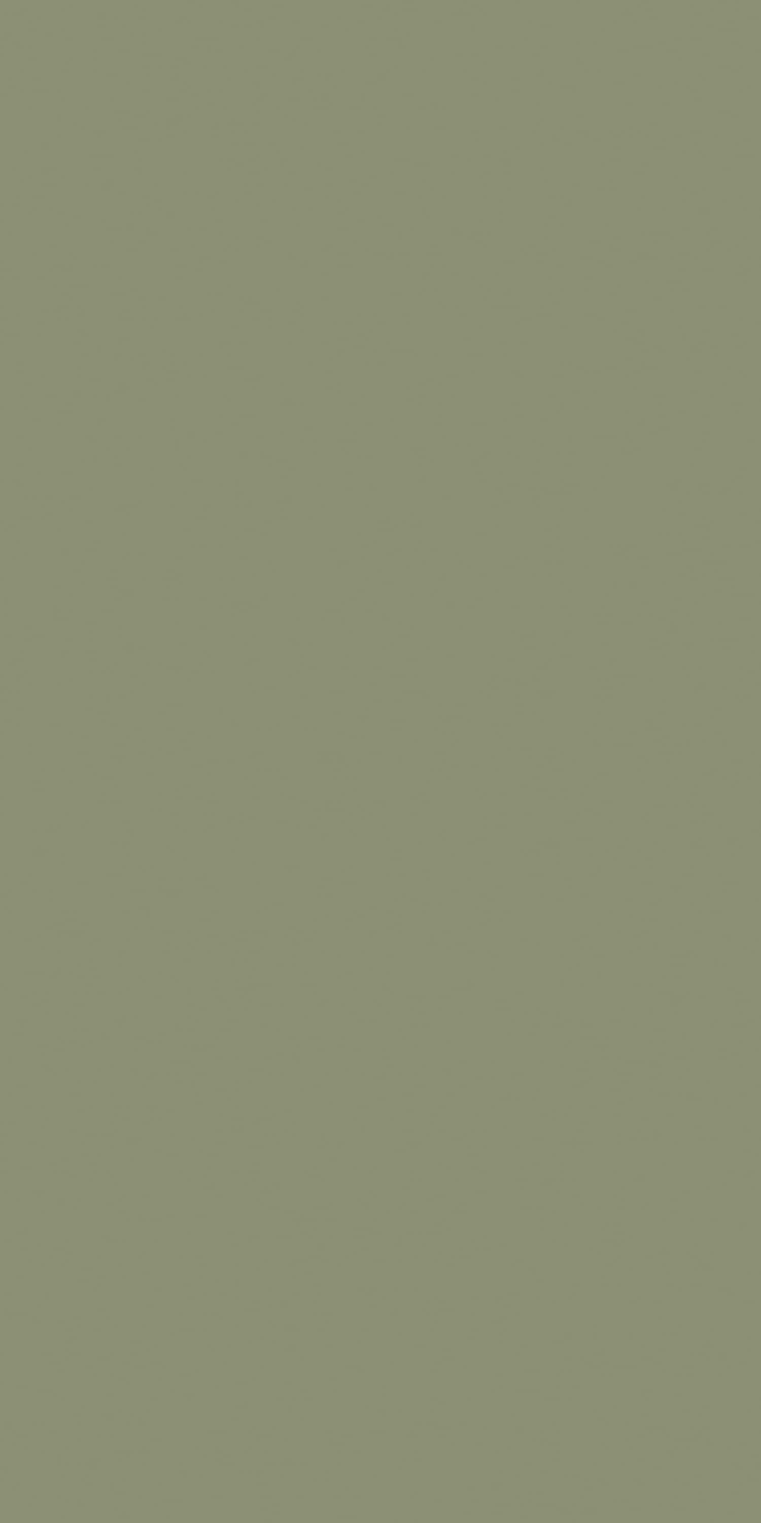 Silica Grey Laminate | 1mm | Design: Solid Colour | Surface: Suede | Finish: Matte | Manufacturer Finish: Suede | Size: 8ft x 4ft | Series: LookBook 2026-27