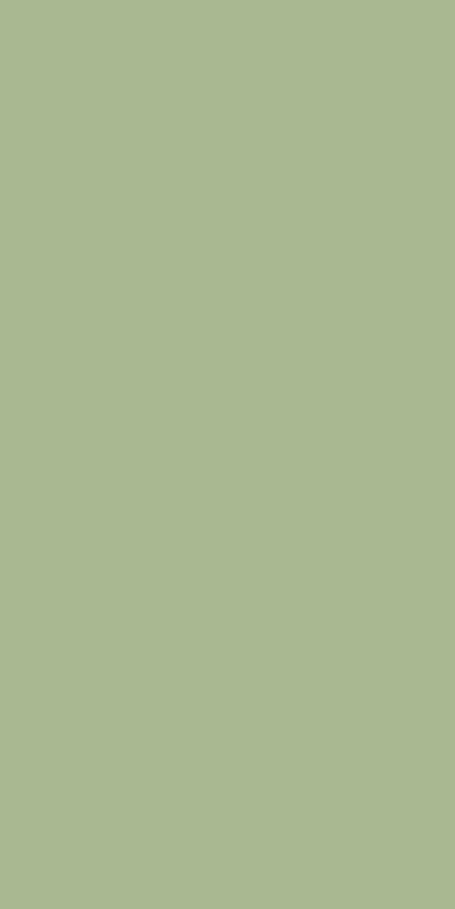 Seafoam Green Laminate | 1mm | Design: Solid Colour | Surface: Suede | Finish: Matte | Manufacturer Finish: Suede | Size: 8ft x 4ft | Series: LookBook 2026-27