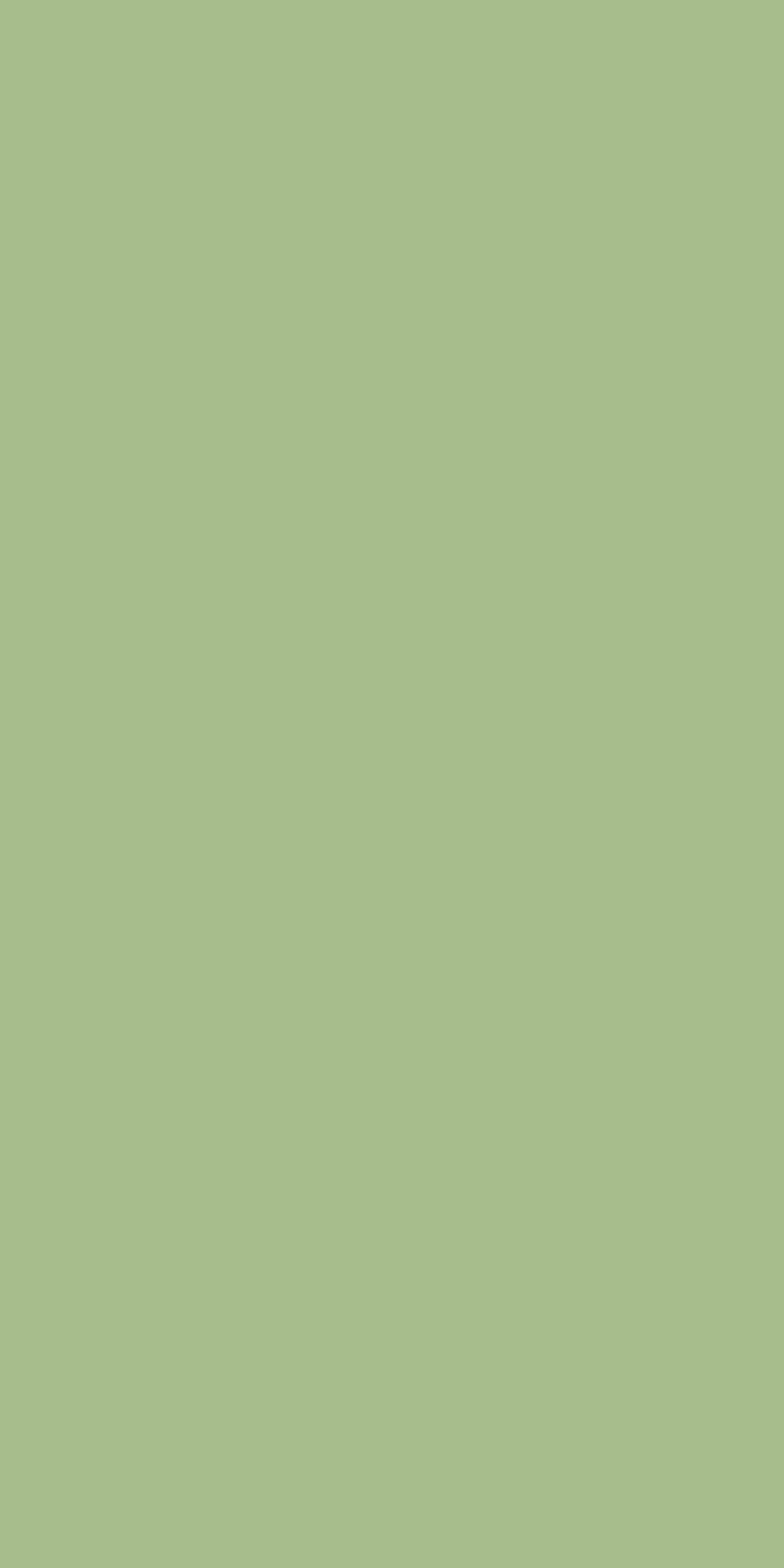 Century Laminates 3282 - Matt — image 1