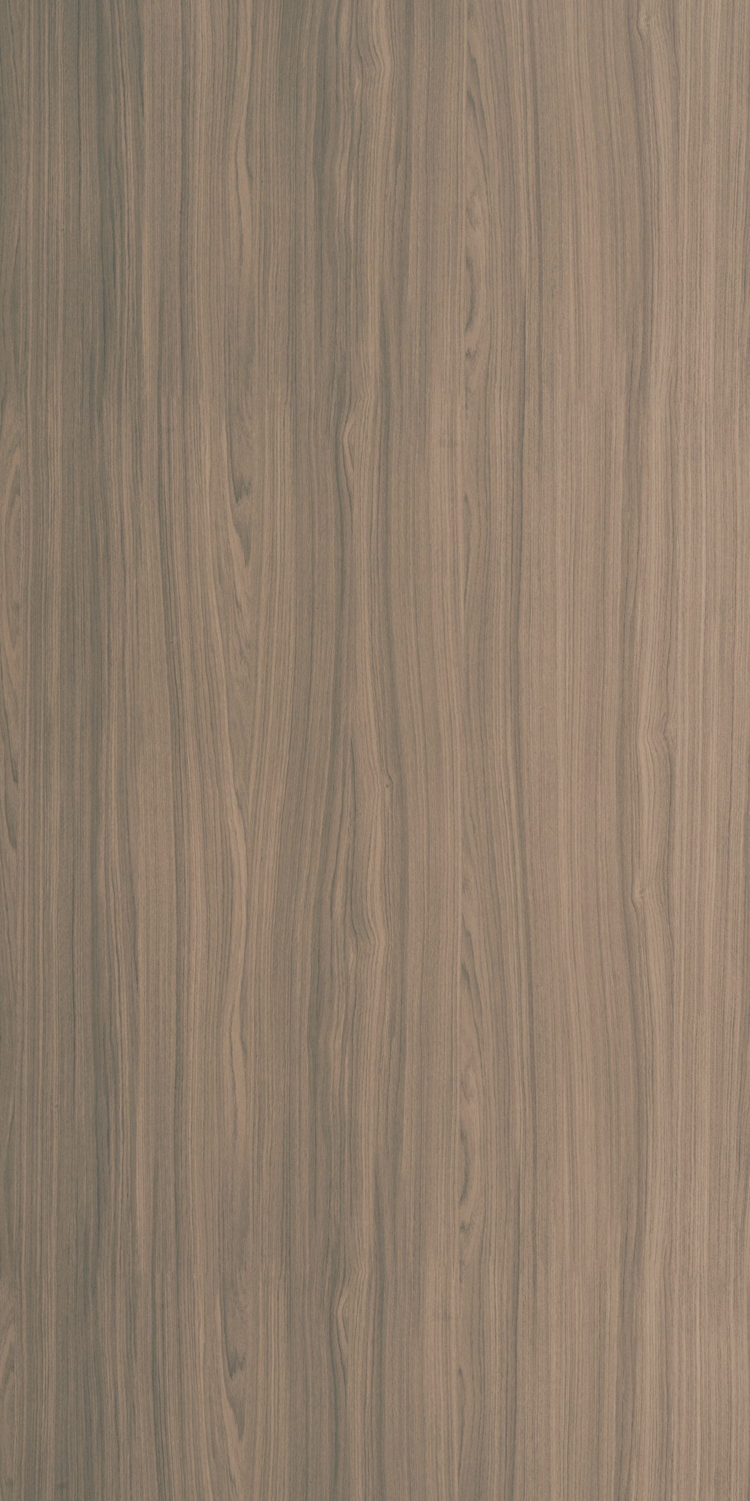 Century Laminates 6387 - Matt — image 1
