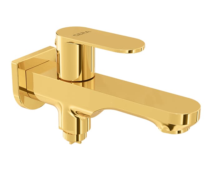 Curve 2-Way Bib Cock (Only Cold Water) With Flange | Chrome Finish