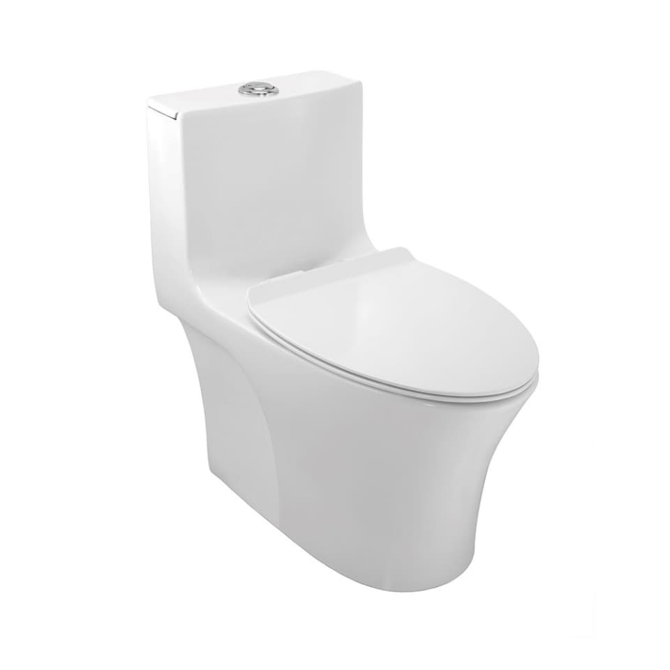 Rimless Single Piece Toilet with UF Soft Close Slim Seat Cover, Hinges, Dual Flush Cistern Fitting, Fixing Set | Size: 385 x 720 x 710 mm | S Trap- 300 mm