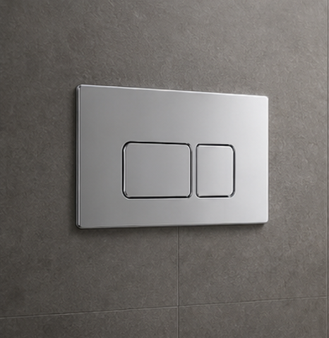 Flushing System